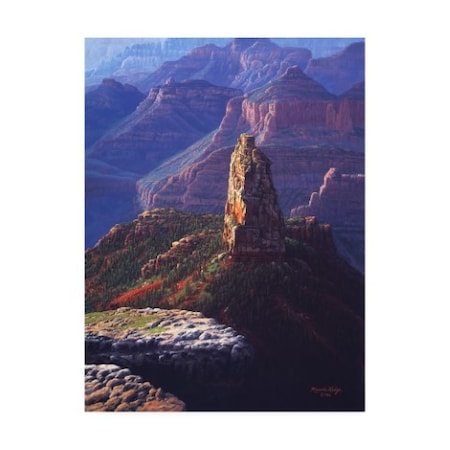 R W Hedge 'The Guardian Canyon' Canvas Art,35x47